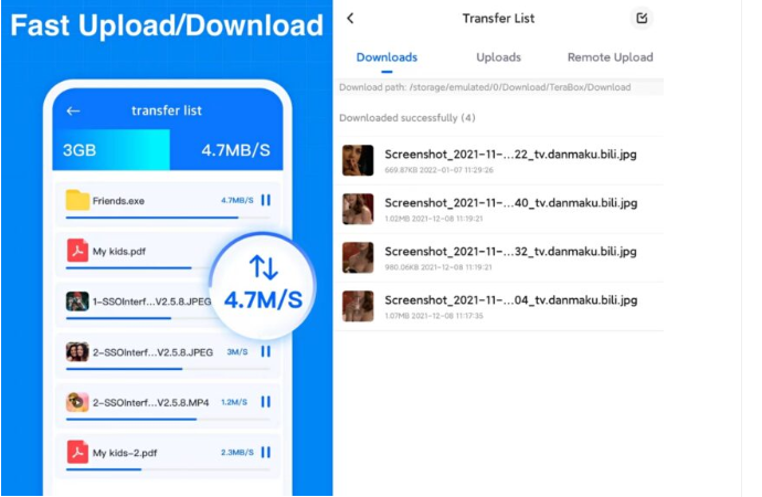 Paid Plans: While TeraBox offers a large amount of free storage, they also provide paid plans with additional features such as faster download speeds, more storage space, and priority support.